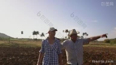 拉丁美洲的农业和耕作，日落时分，一位西班牙农民带着他的儿子在<strong>耕地</strong>中散步